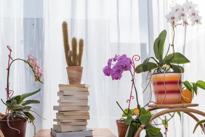 Ein DIY-Beistelltisch aus Büchern ist eine besondere Idee für die Einrichtung.
