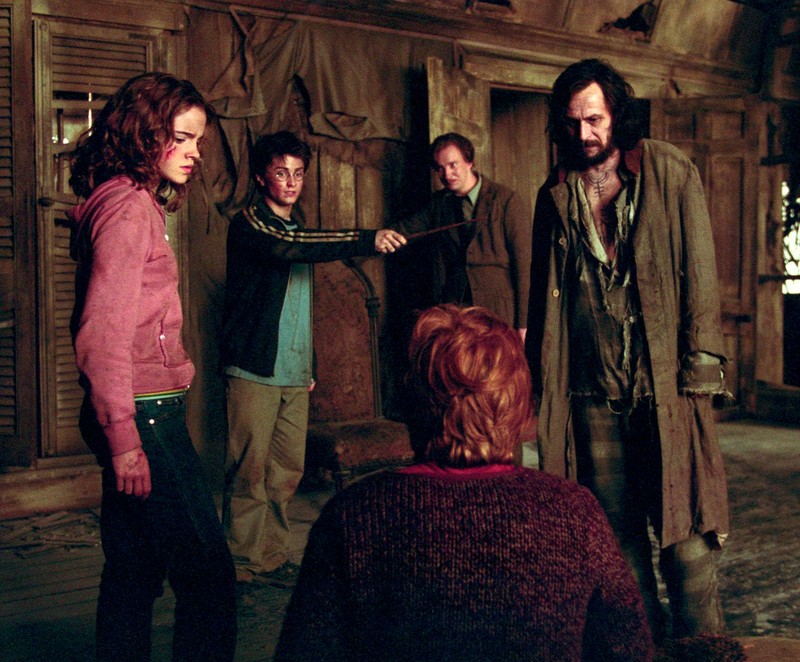 Remus Lupin wusste, dass Sirius Black ein Animagus ist.