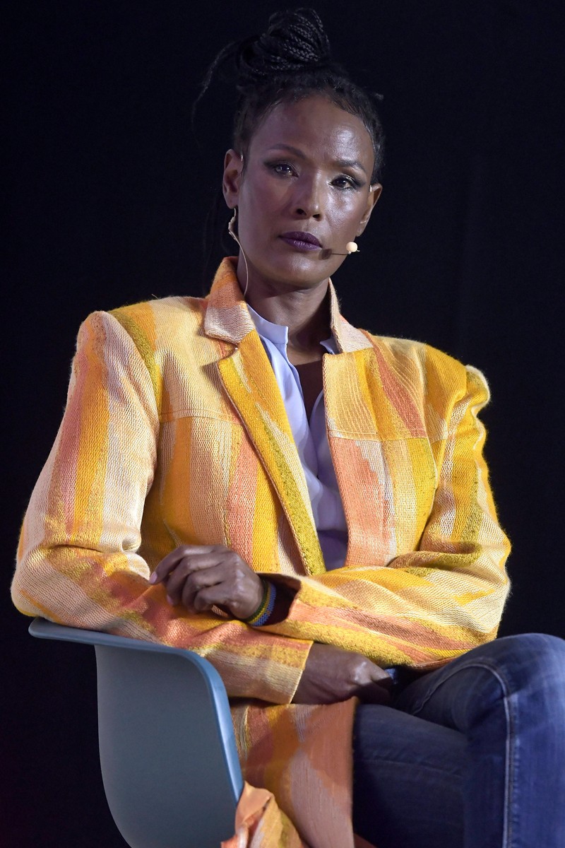 Waris Dirie ist bis heute als Aktivistin tätig.