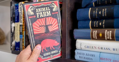 Aus den Gründen wurden berühmte Bücher von Verlagen abgelehnt