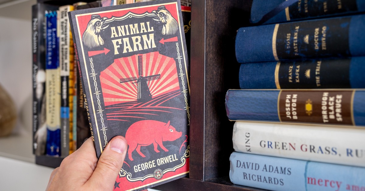 Aus den Gründen wurden berühmte Bücher von Verlagen abgelehnt