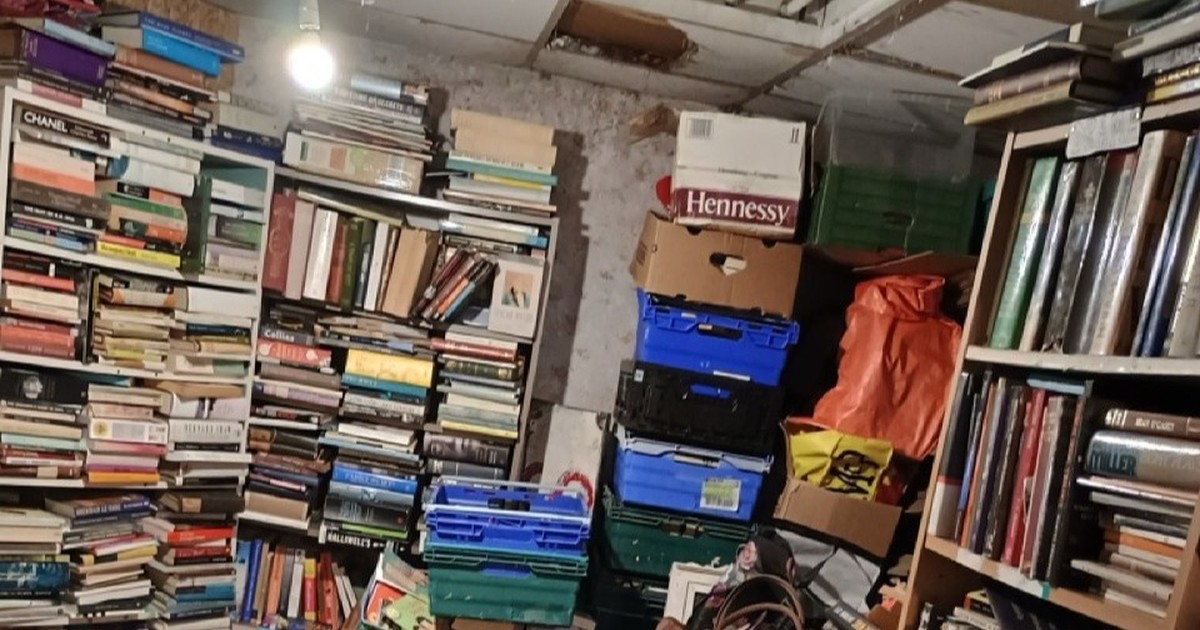 Zustand alter Bücher: Was ist harmlos, wann musst du sie entsorgen?
