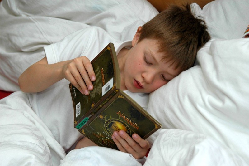 „Die Chroniken von Narnia“ versprechen aufregende Träume.