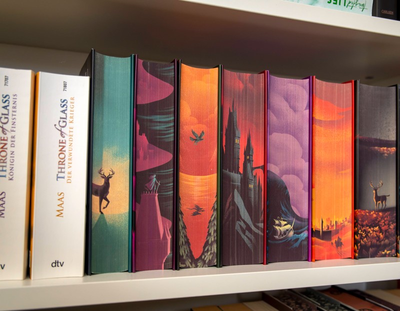 Das Universum der Bücher von Sarah J. Maas ist groß.